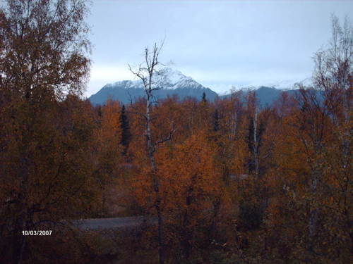 Wasilla, AK: The Montain View Right Behind My House