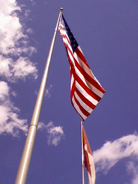 Port Huron, MI: American Flag