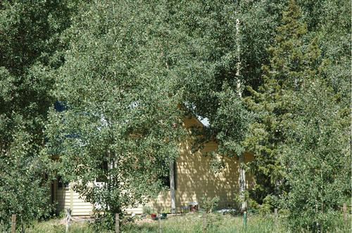 Maybell-Powder Wash, CO: Maybell House