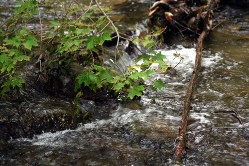 Watkins Glen, NY: Eagle Falls, Havan Glen Park, Montour Falls, New York