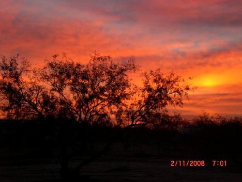 Three Points, AZ: back of my house