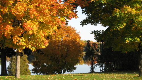 Norwood, NY: Fall at River Road on Norwood Pond