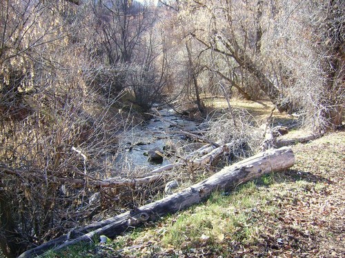 Springville, UT: Today up Hobble Creek Canyon