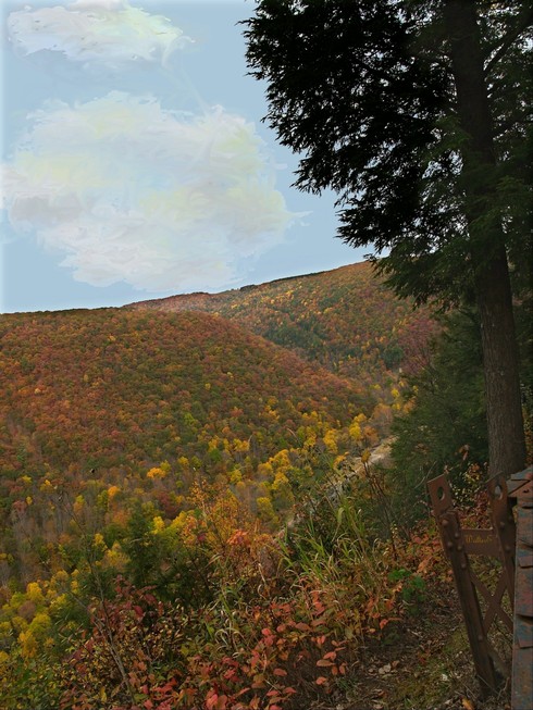 Galeton, PA: Bradley Wales on the west rim of the Pennsylvania Grand Canyon A few miles East of Galeton