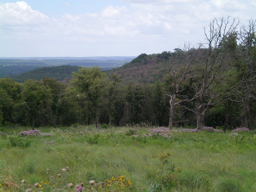 Gordon, TX: View from our land in Gordon Texas