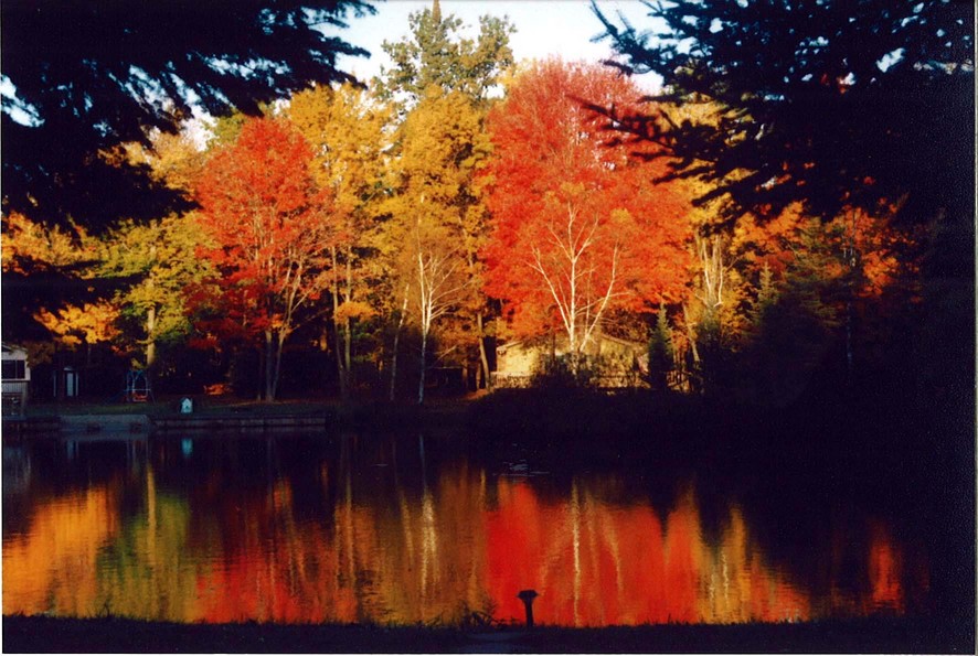 Prudenville, MI: October at Lake James
