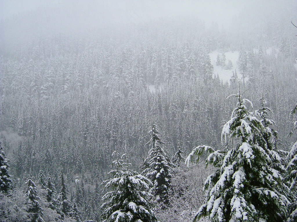 Snoqualmie, WA: Snow in the mountains near Snoqualmie