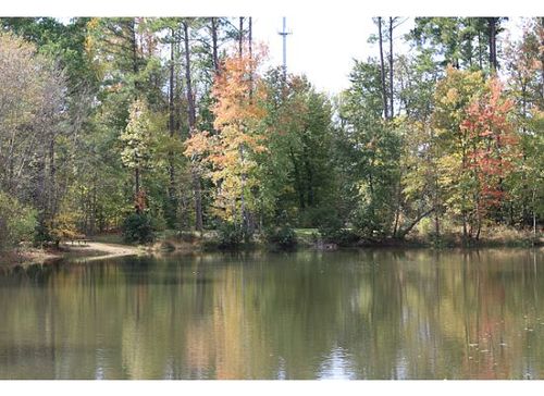 Knightdale, NC: Pond in park behind East Wake Library