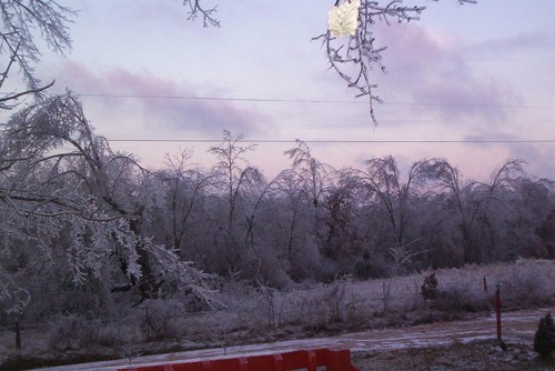 Hartville, MO: Ice Storm Jan 2007