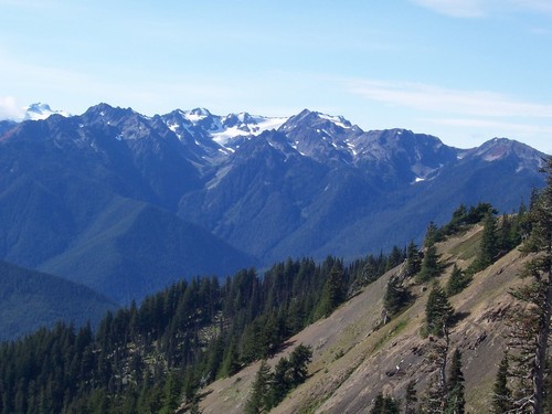 Port Angeles, WA: Hurricane Ridge