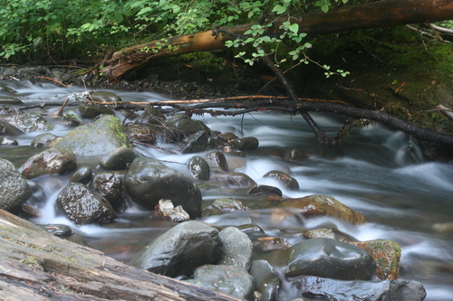 Port Angeles, WA: Crescent Lake