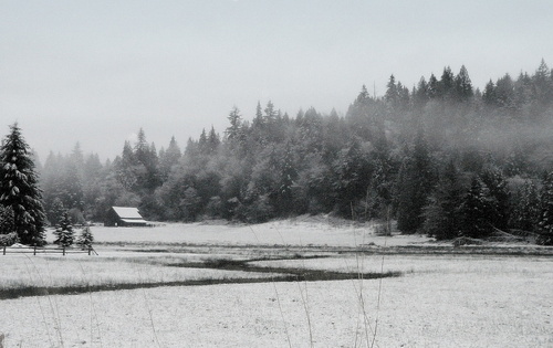 Monroe, WA: early morning drove up the hill to my friend Troy