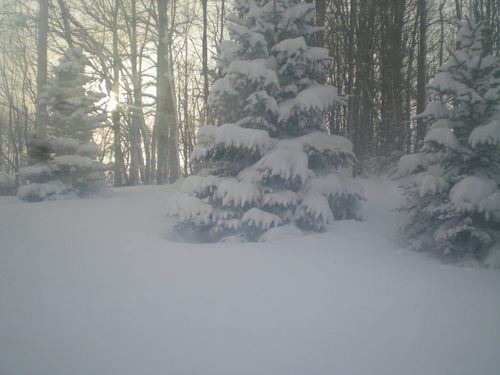 Cato, NY: After a lake effect snow storm!