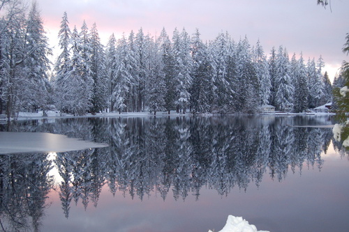 Sammamish, WA: Beaver Lake in the snow