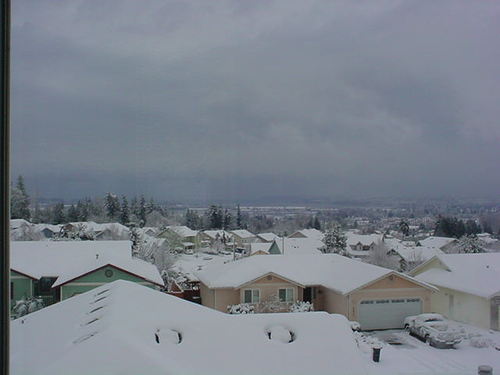 Marysville, WA: snow 2008