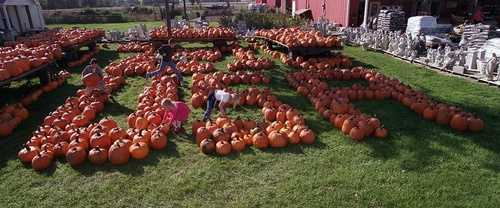 Vermilion, OH: Pumpkin patch in Vermilion Ohio