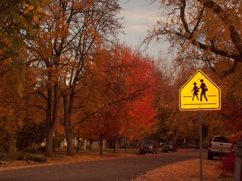 Boise, ID: City Street in Boise, Idaho. Fall '08