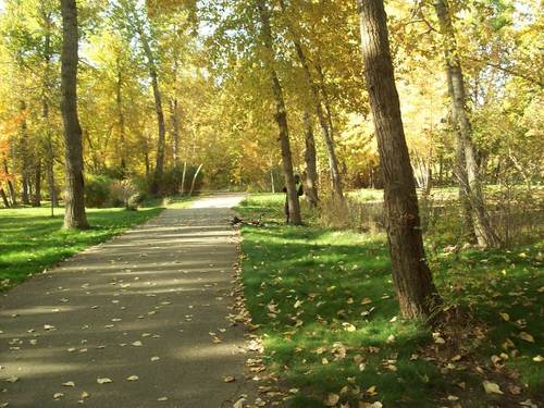 Boise, ID: The Greenbelt. A bike and walking path along the Boise River, which is clean and runs through the city.