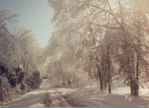 Pocahontas, AR: Ice storm of early 90's...Broadway St.