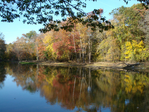 Potomac, MD: Fall Foliage in Great Falls