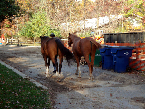 Washington, DC: Rock Creek Park Horse Center