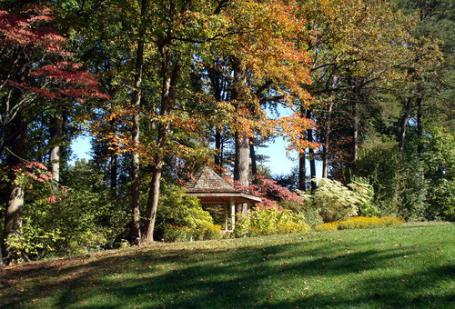 Silver Spring, MD: Fall Foliage at Brookside Gardens