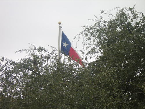 San Antonio, TX: View from Alamo