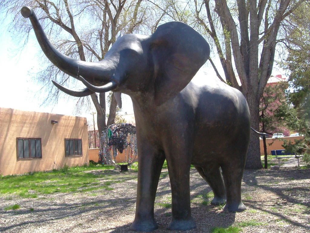 Santa Fe, NM: Elephant statue in Santa Fe