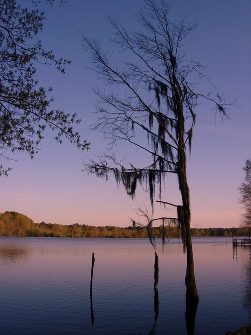 McComb, MS: Lazy Lake Sunset