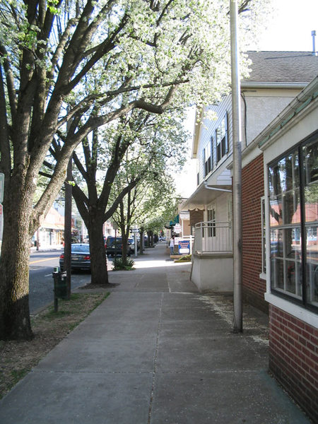 Newtown, PA: Newtown 18940