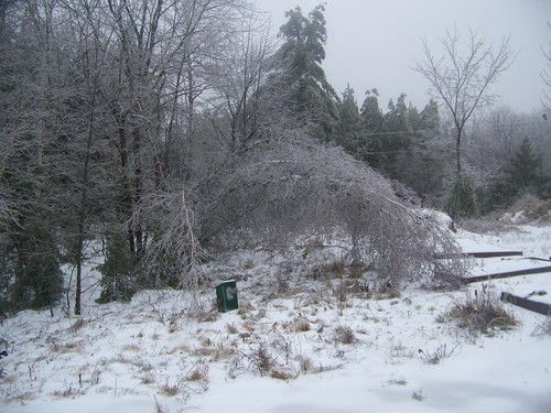 Burnham, ME: Maine so beautiful even in the winter