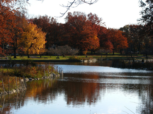 Roselle, NJ: Beautiful fall colors in Warinanco park in Roselle in NJ