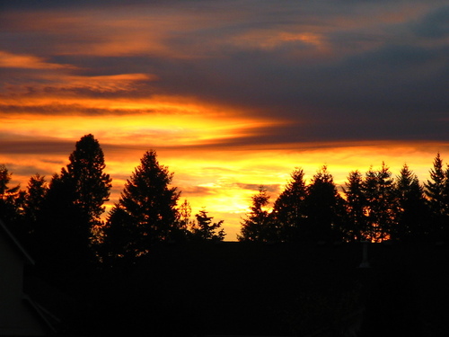 Centralia, WA: Sunrise, 8:40a.m. Nov.27,2008 Centralia, Wa.