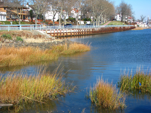 Perth Amboy, NJ: Sea grasses sway in the wind at the Perth Amboy waterfront.