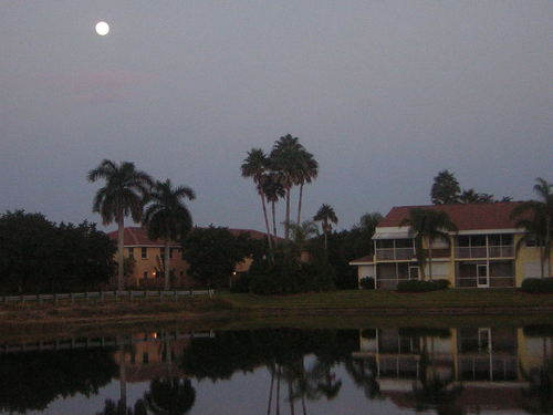 Homestead, FL: The back of my apartment complex