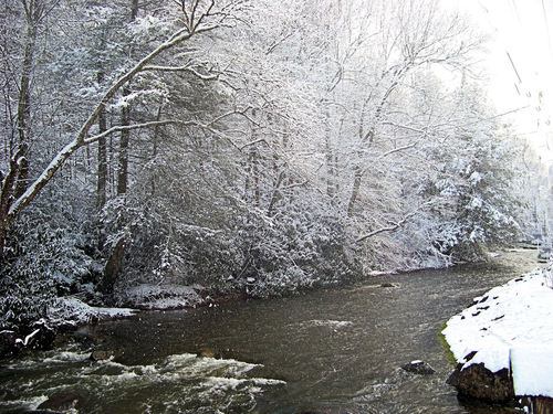 Roan Mountain, TN: Doe River, Roan Mountain State Park