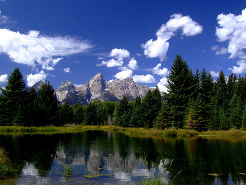 Jackson Hole, WY: Grand Teton, Cathedral Group from Swabacher's Landing - II