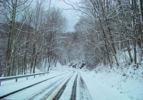 Roan Mountain, TN: Road Going To Top Of Roan Mountain