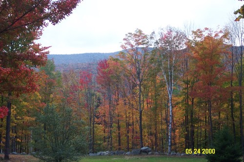 Roxbury, VT: Looking west from Raynor Road