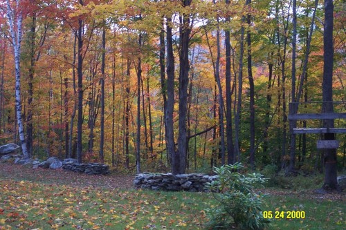 Roxbury, VT: Beauty from lawn on Raynor Road