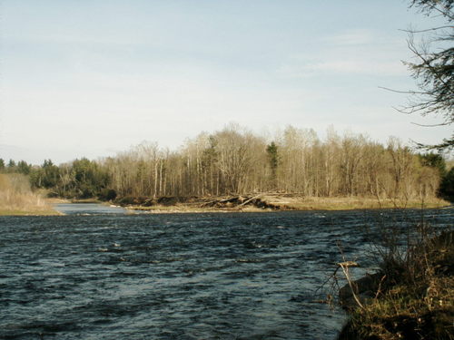 Mercer, ME: Sandy river from the back of my dads property