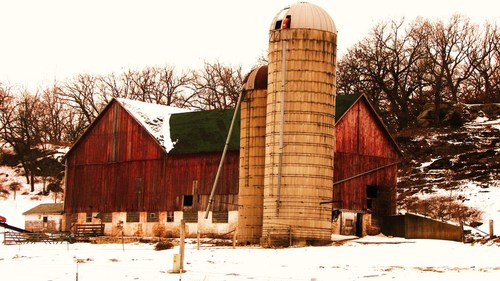 New Glarus, WI: This is of a farm right just down from the main highway left side of the road coming from monroe