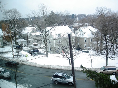 Newton, MA: Newton Corner - Fallen Snow