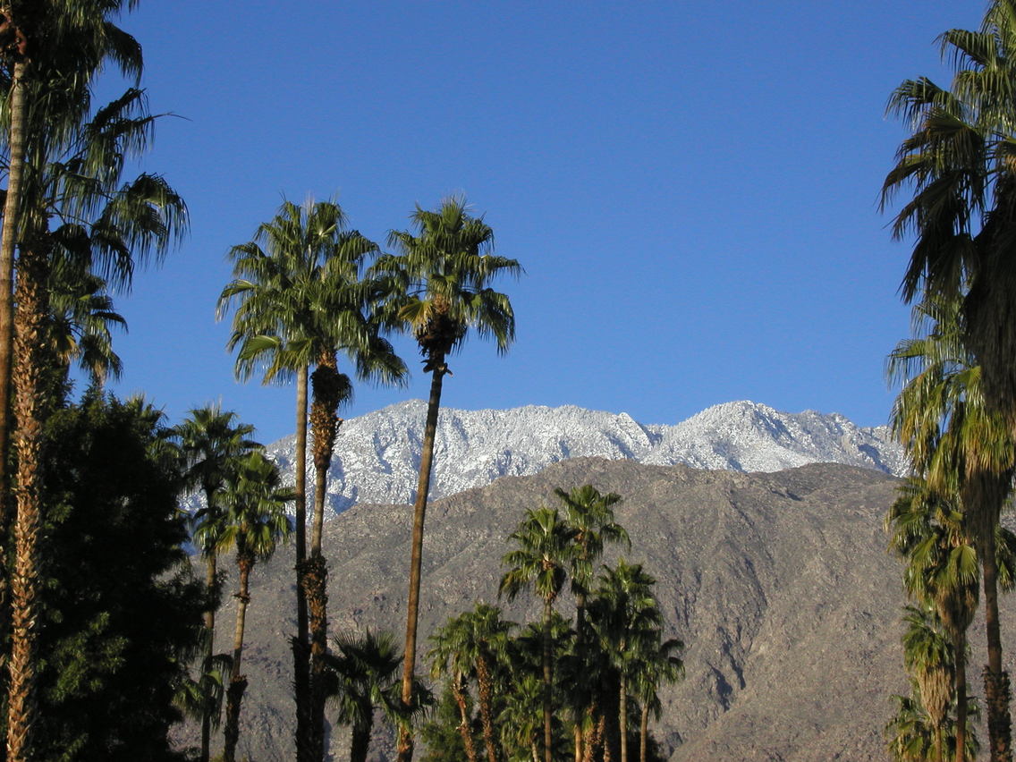Palm Springs, CA: January in Palm Springs