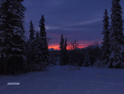 Sterling, AK: This is my front yard at sunset in Sterling , Alaska on the Sterling Hwy