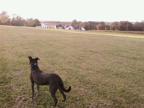 Parkesburg, PA: Parkesburg-Overlooking the field