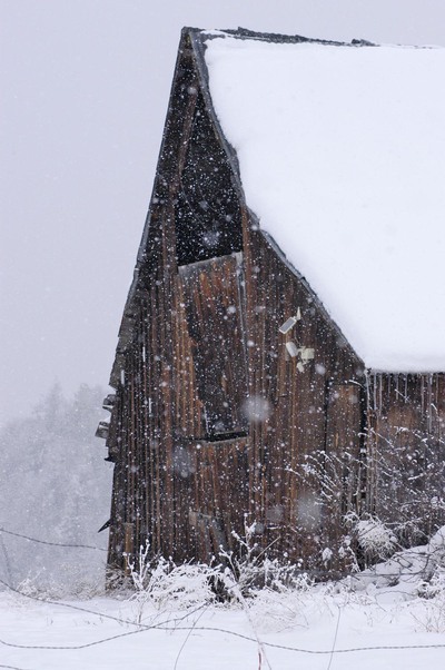 Fall River Mills, CA : Christmas Eve Barn in Snow Storm near the Pit ...