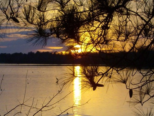Crossett, AR: Lake Georgia Pacific Sunset