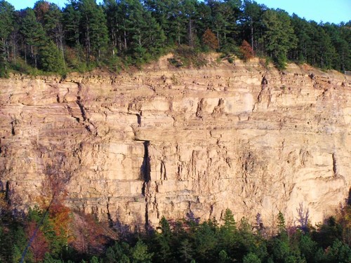 North Little Rock, AR: Trees on cliff at Emerald Park.