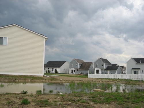 New Haven, MI: Beautiful picture in New Haven taken in the subdivision Decora.